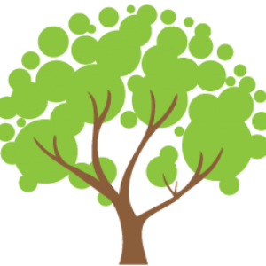 cropped-favicon.png